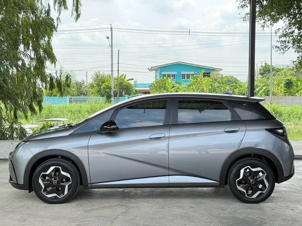 2023 BYD Dolphin 2