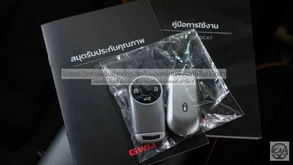 2024 GWM Ora Good Cat 2