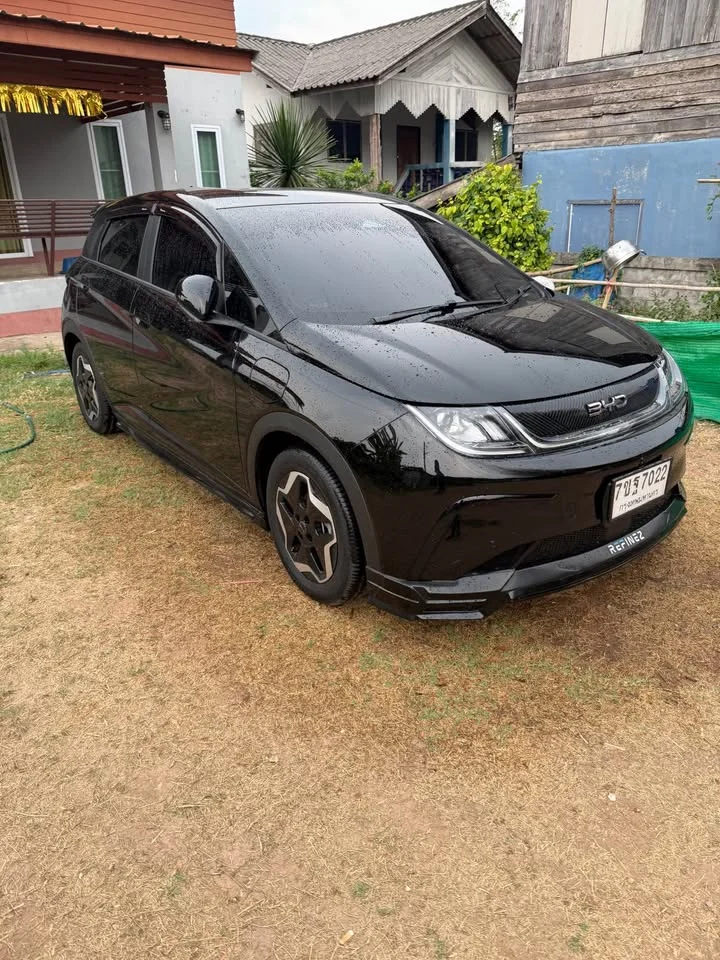 2025 BYD Dolphin 2