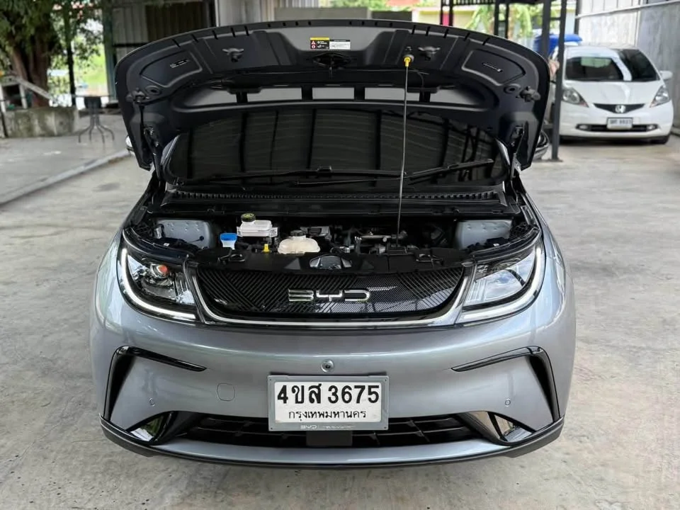 2023 BYD Dolphin 3