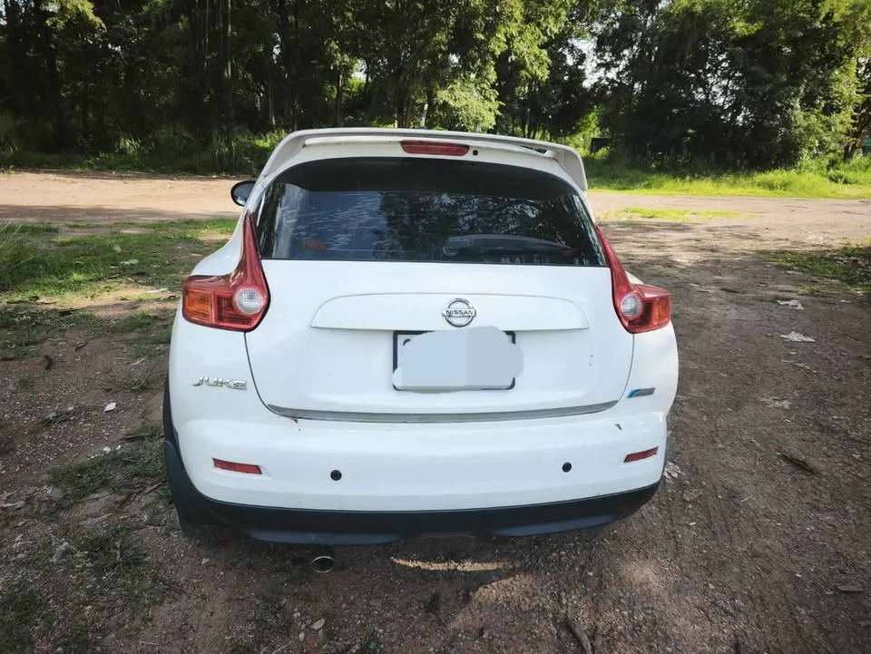 2014 Nissan Juke I (F15) 2