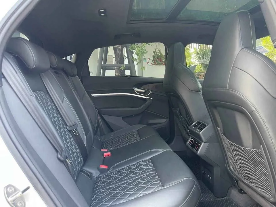 2020 Audi Q8 e-tron 2