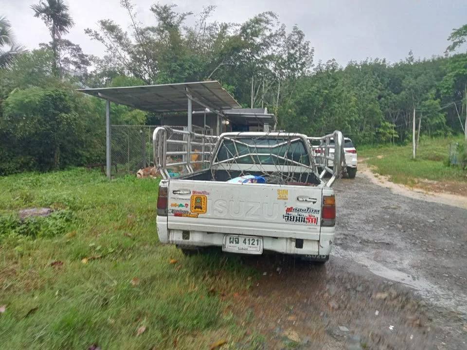 1990 Isuzu TFR III 2
