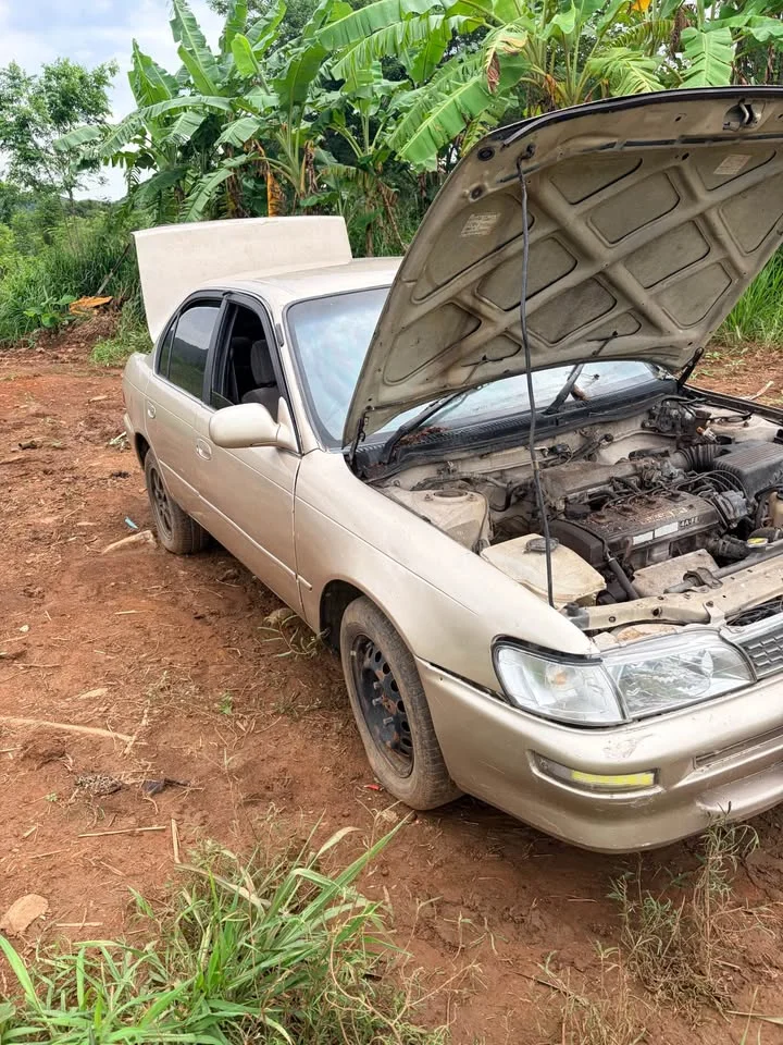 1993 Toyota Corolla Altis VII (E100) 2