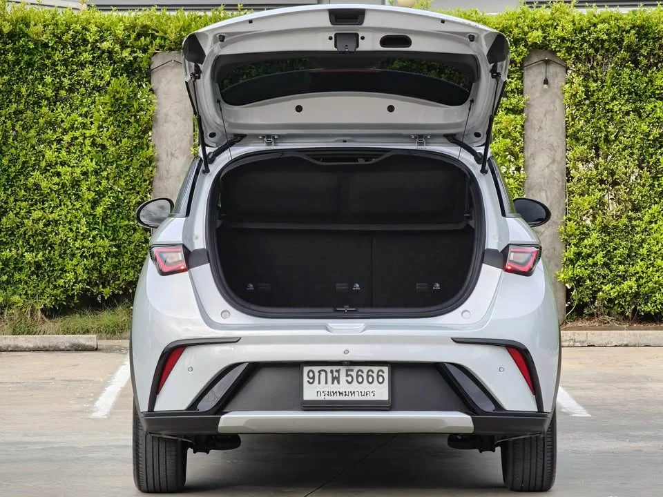 2024 BYD Dolphin 2