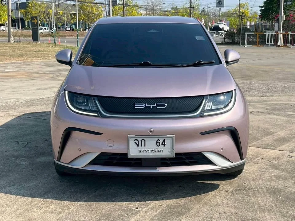 2023 BYD Dolphin 3
