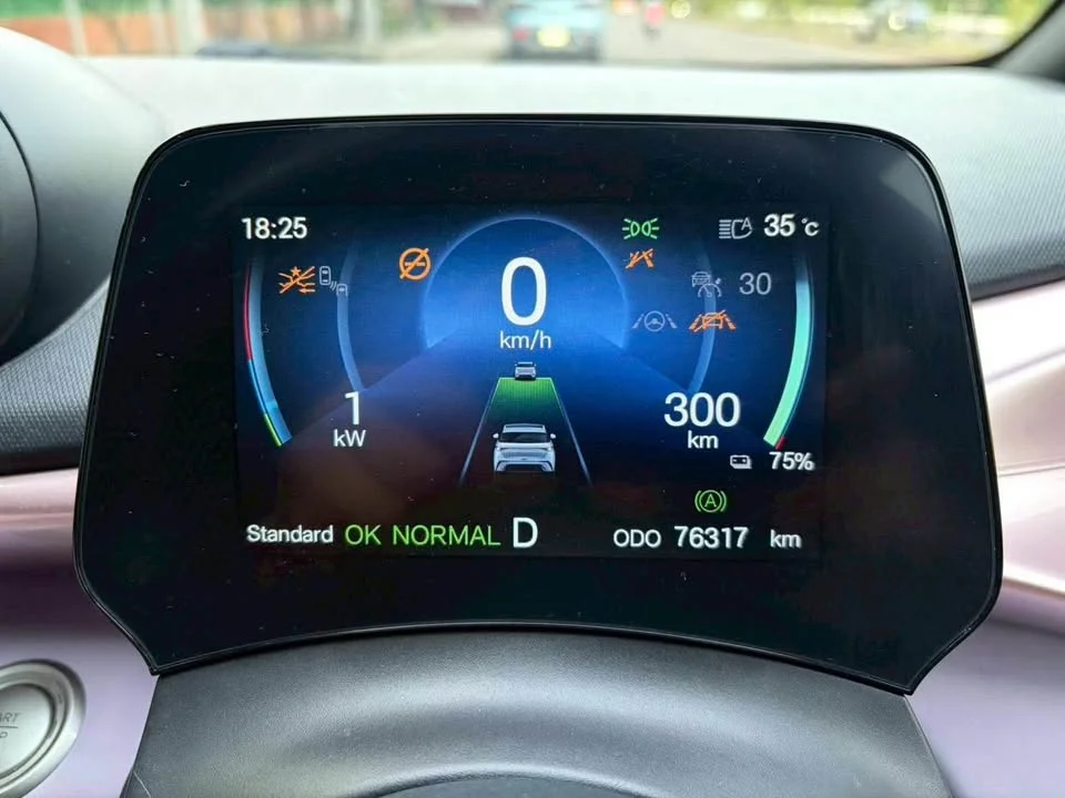 2023 BYD Dolphin 2