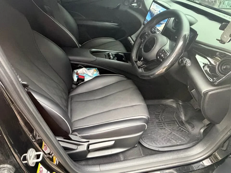 2025 BYD Dolphin 2