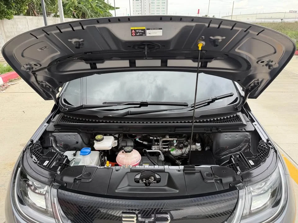 2024 BYD Dolphin 3