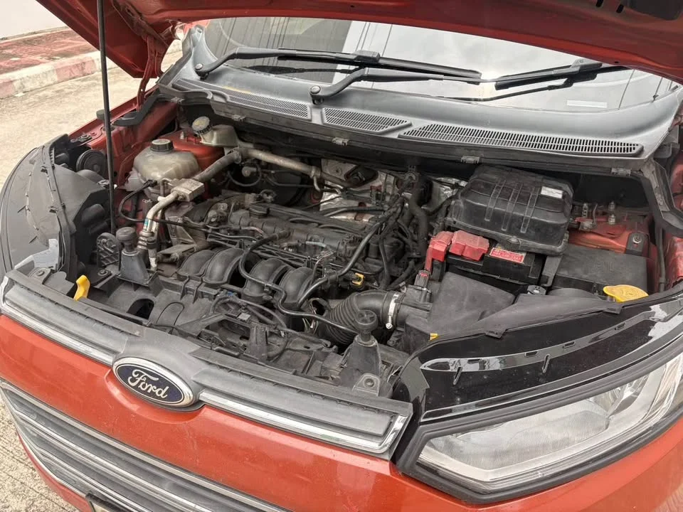 2014 Ford EcoSport II 3