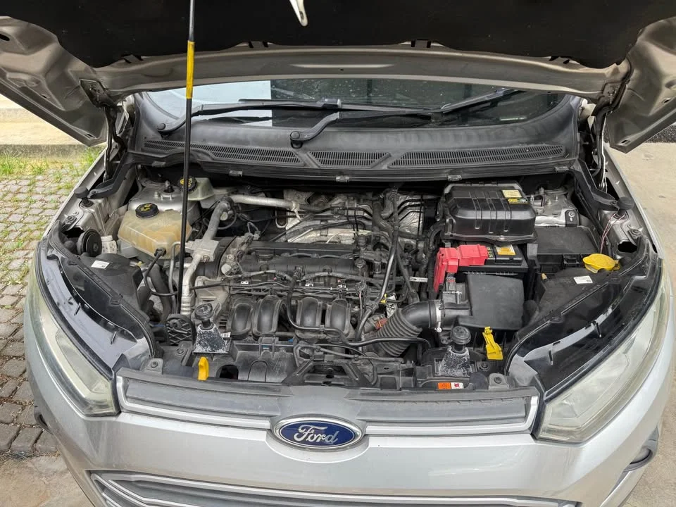2014 Ford EcoSport II 3