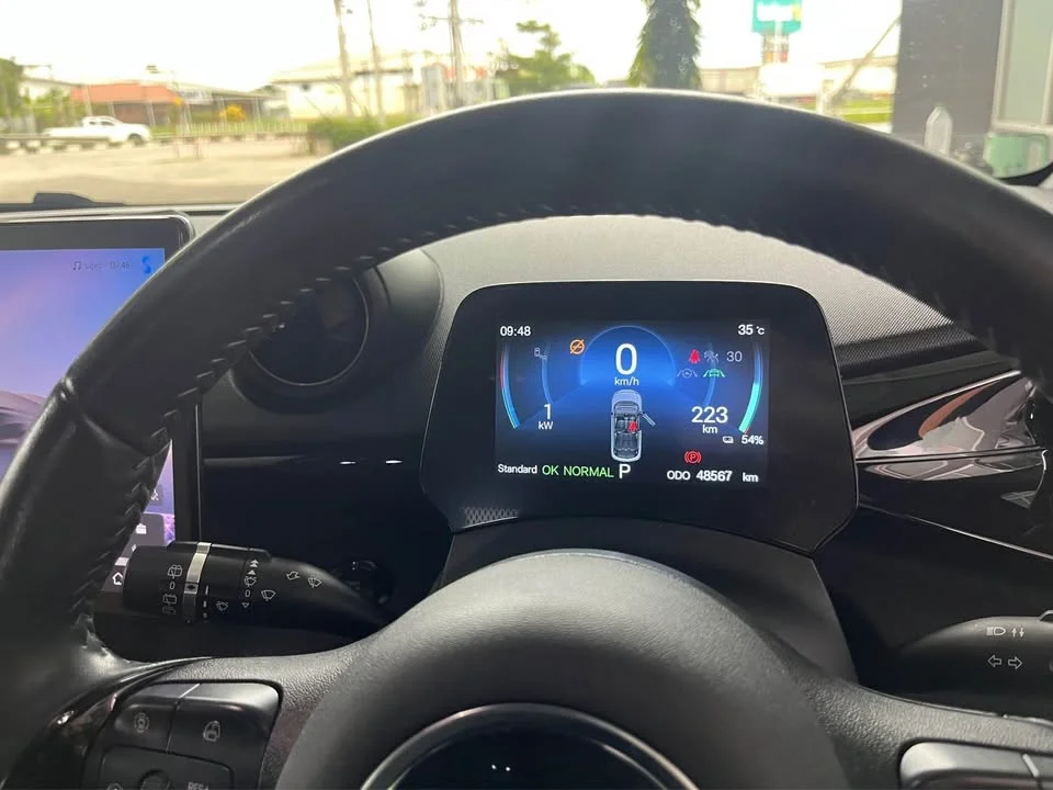 2024 BYD Dolphin 2