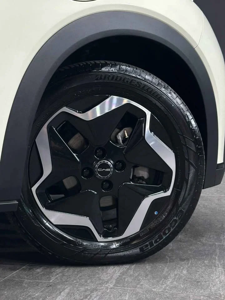 2024 BYD Dolphin 2