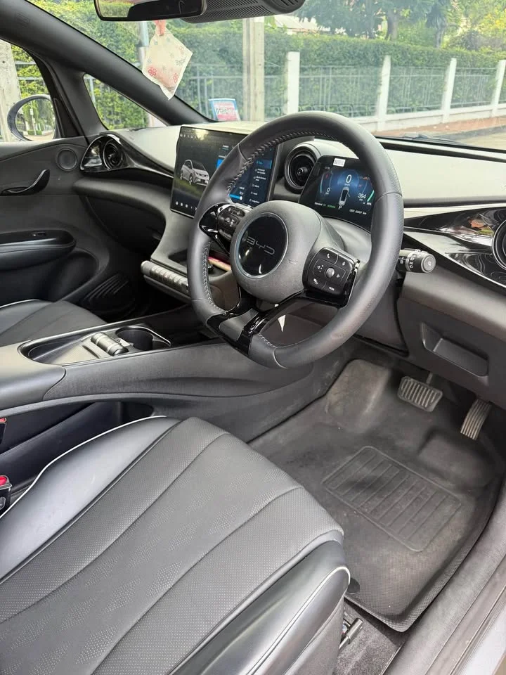 2023 BYD Dolphin 3