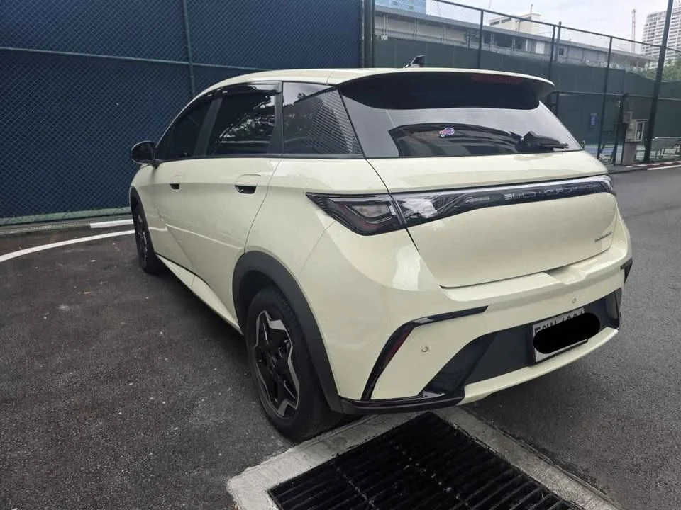 2024 BYD Dolphin 2