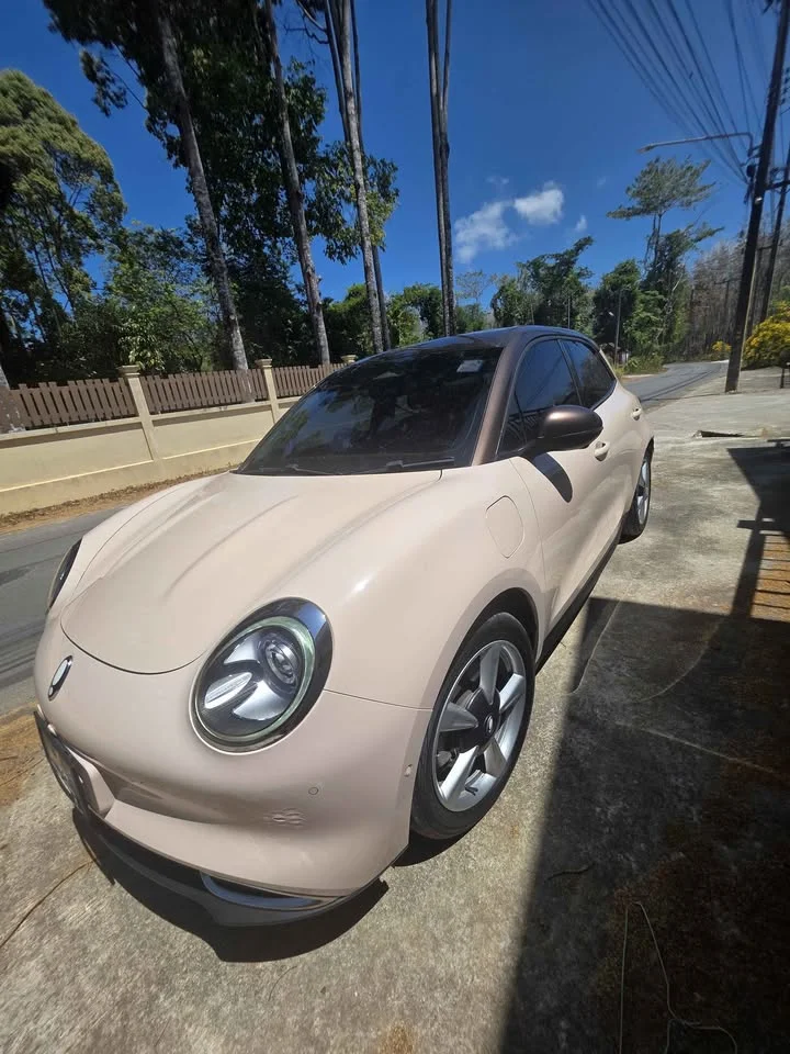 2023 GWM Ora Good Cat 2