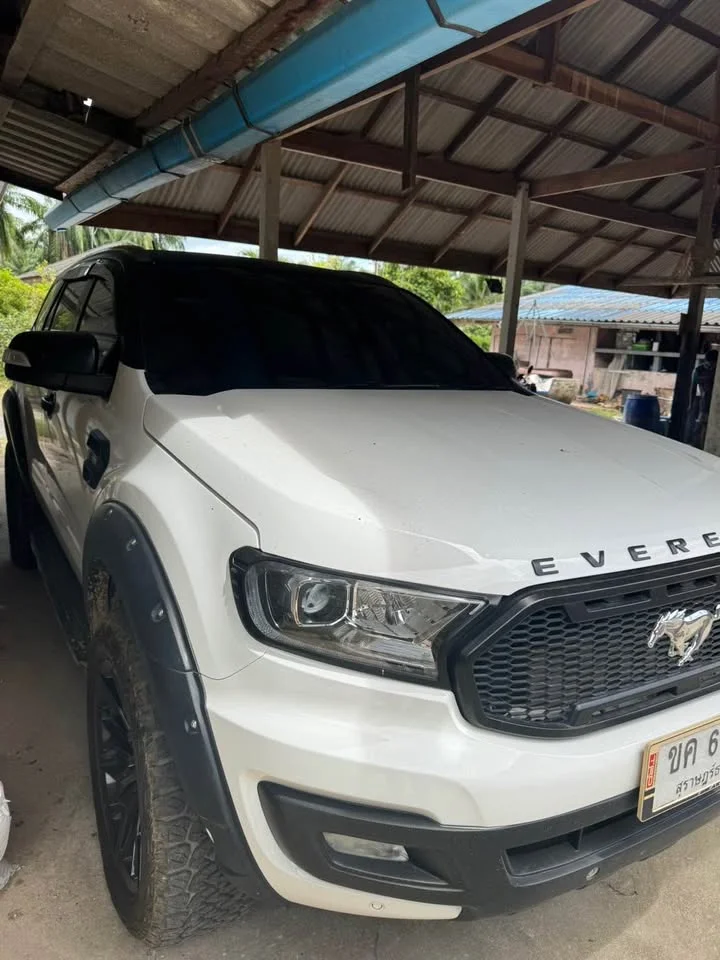 2020 Ford Everest II 3