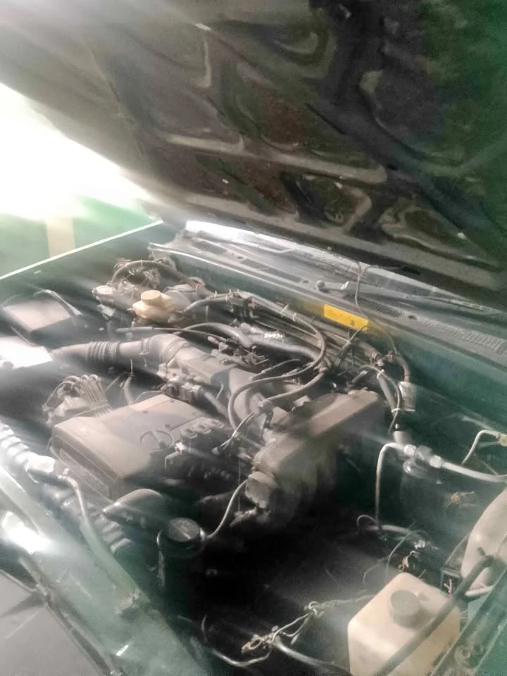Isuzu Faster Dragon Eyes III 2