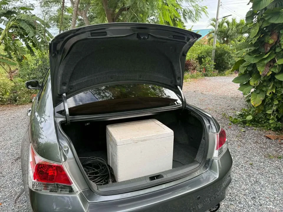 2008 Honda Accord VIII 3