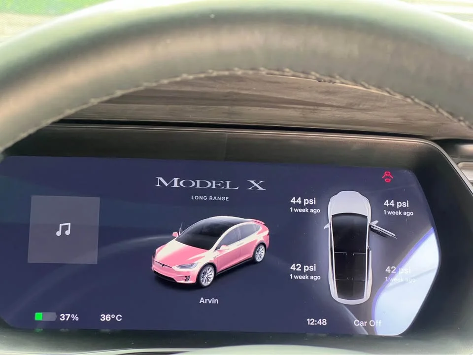 2021 Tesla Model X 3