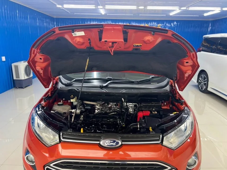 2014 Ford EcoSport II 2