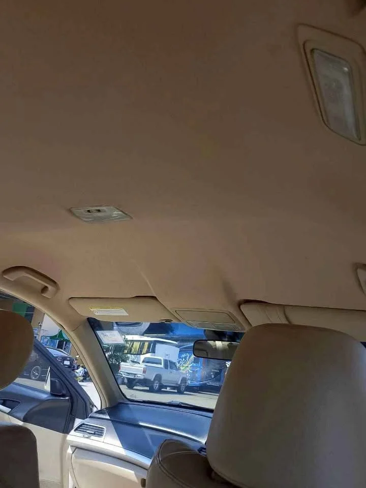 2010 Honda Accord VIII 2