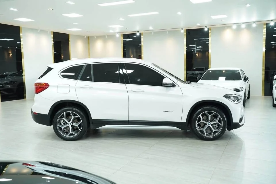 2019 BMW X1 F48, F49 2