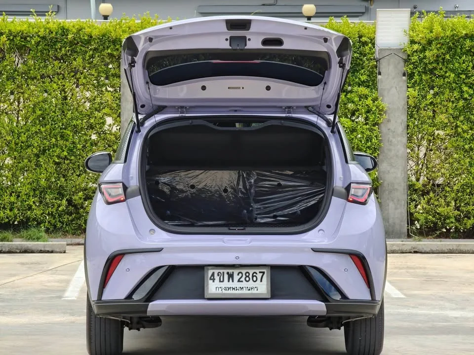 2023 BYD Dolphin 2