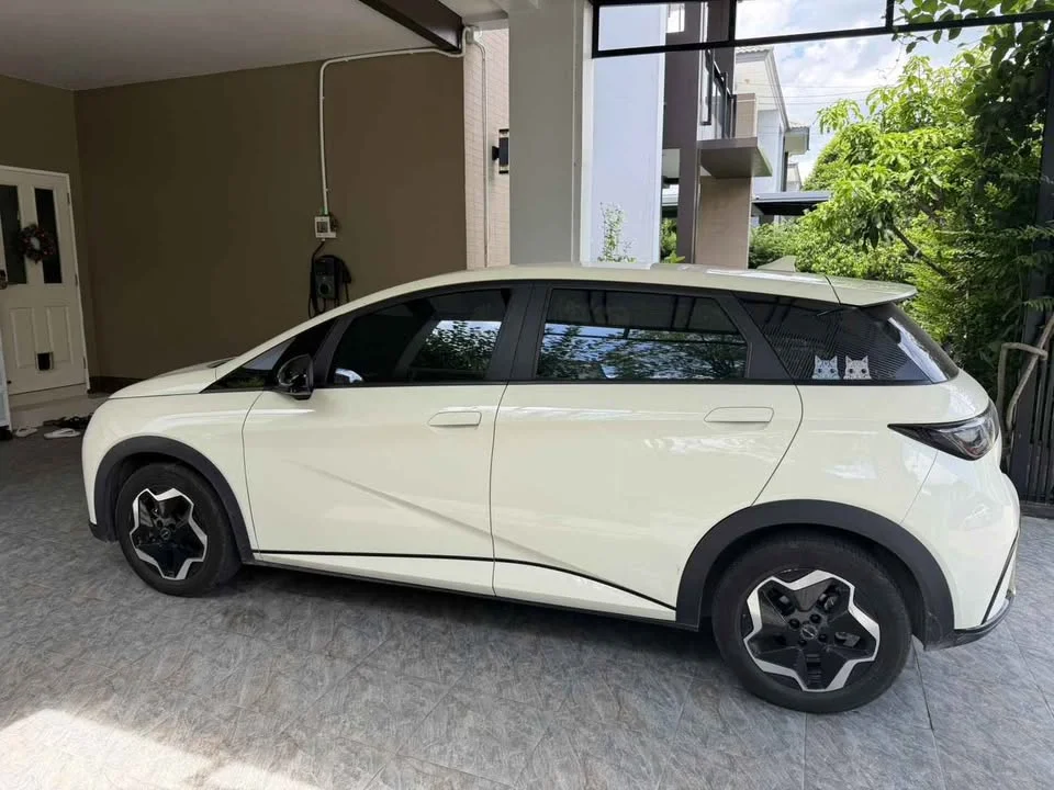 2023 BYD Dolphin 3