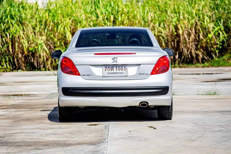 2008 Peugeot 207 2