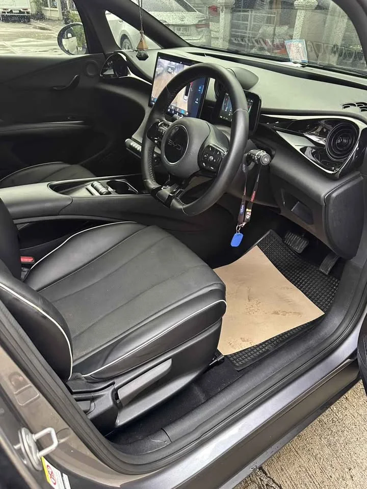 2024 BYD Dolphin 2