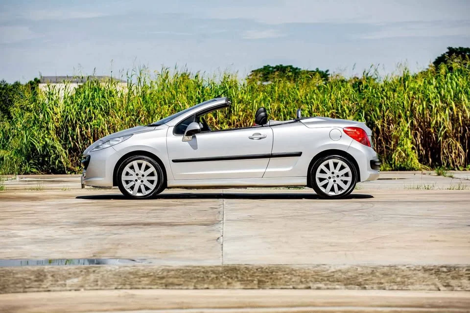 2008 Peugeot 207 2