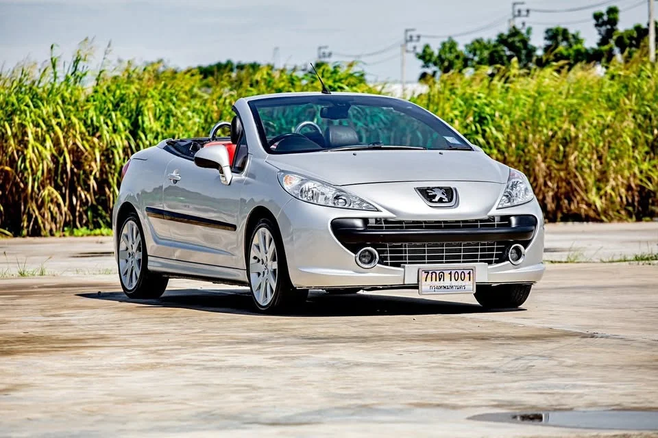 2008 Peugeot 207 2