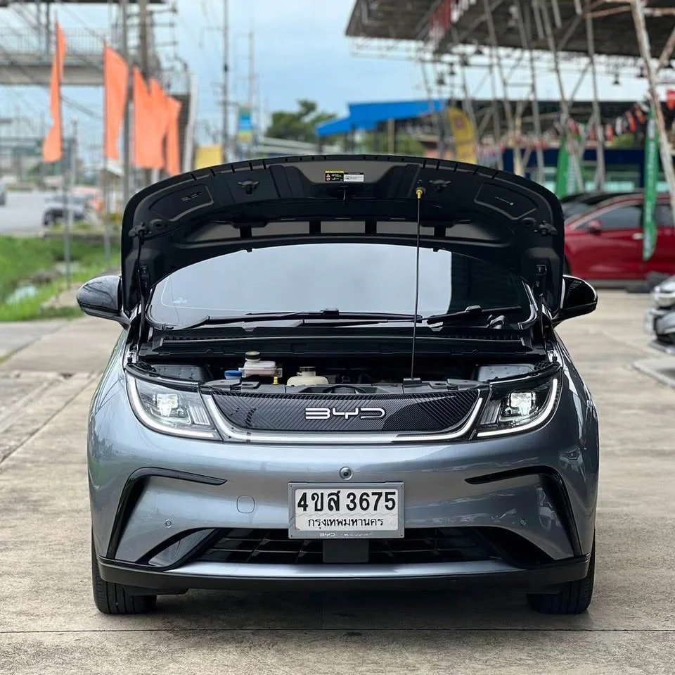 2023 BYD Dolphin 2