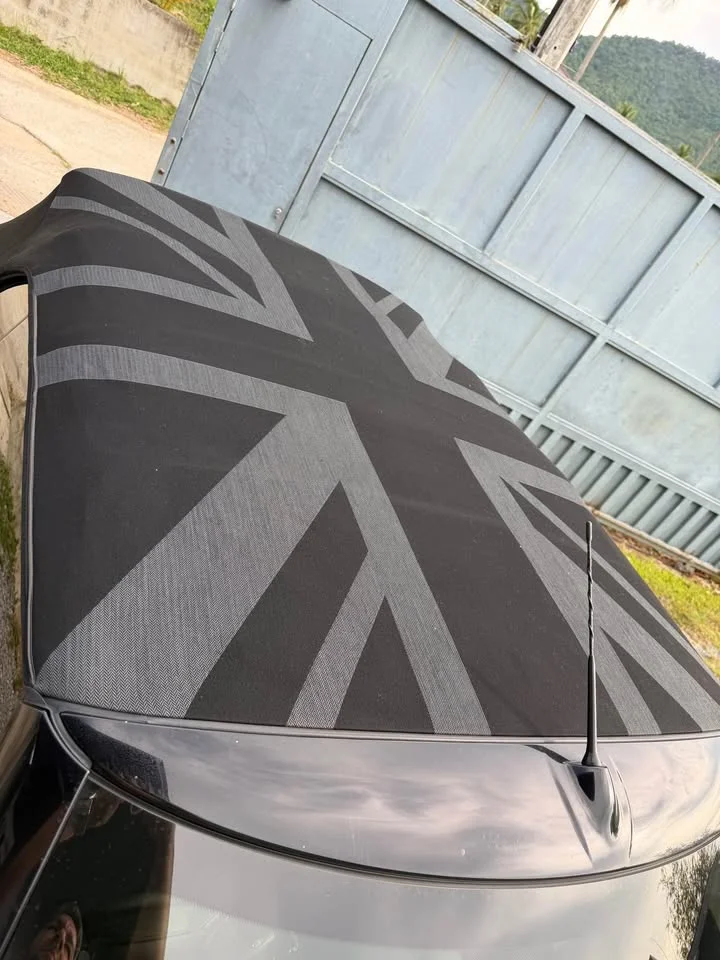2017 Mini Cabrio III 2