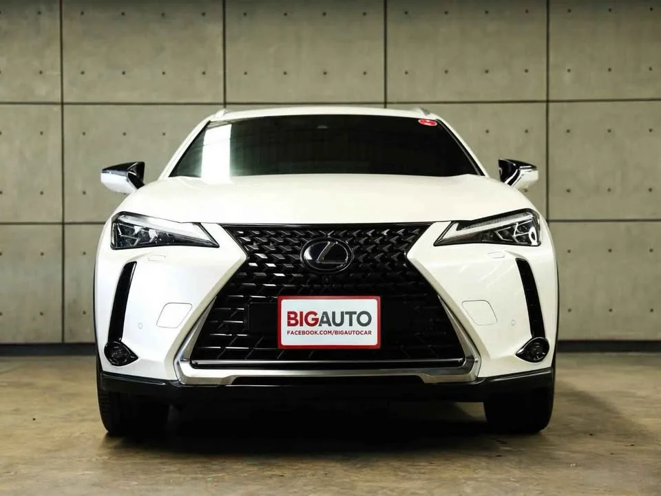2025 Lexus UX ZA10 2