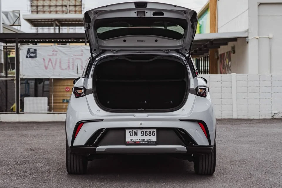 2024 BYD Dolphin 3