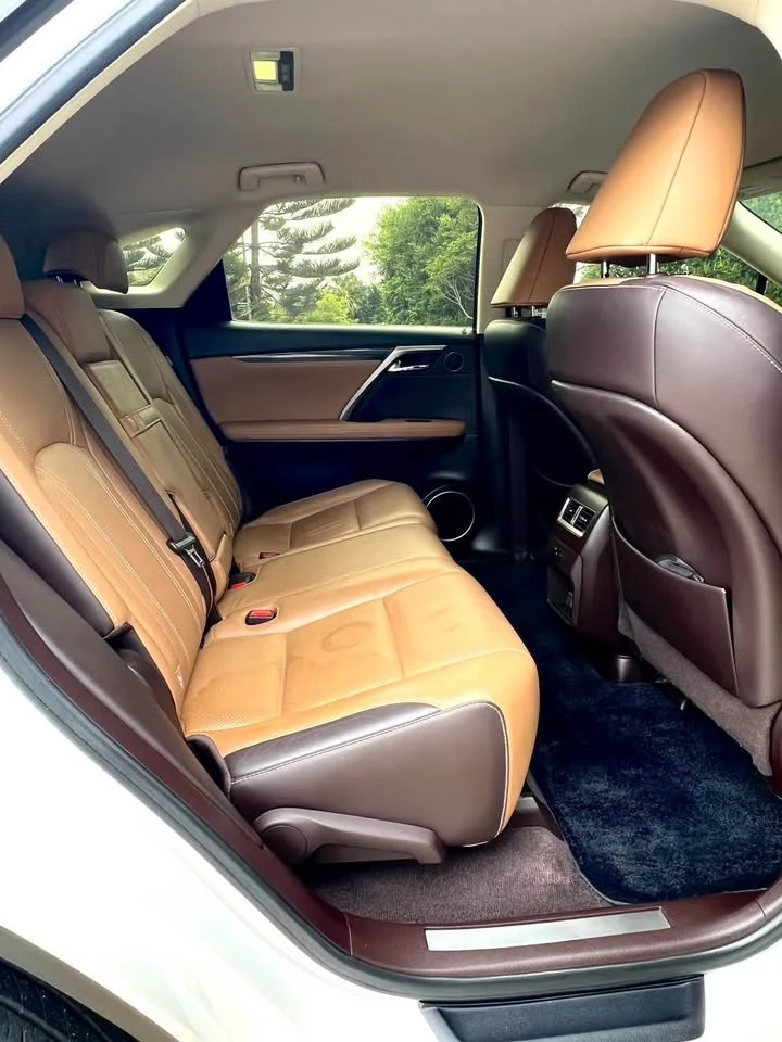 2017 Lexus RX IV 2