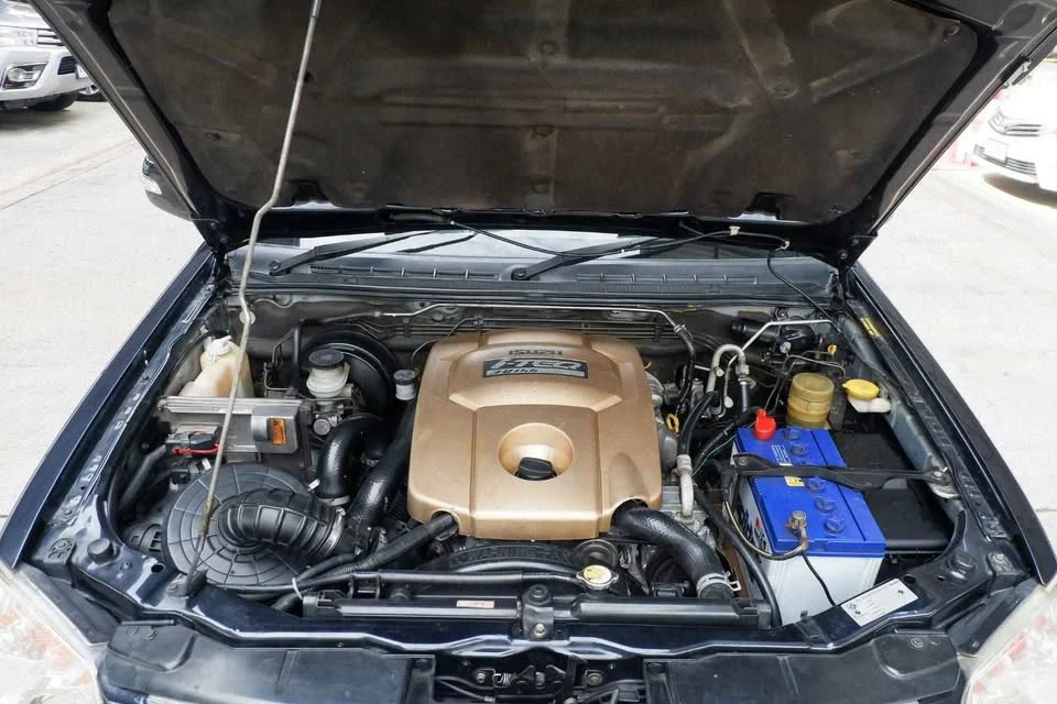 2008 Isuzu  TR Adventure Master II 2