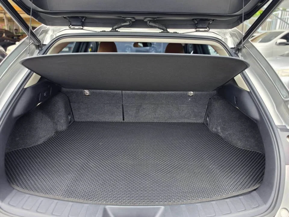 2019 Lexus UX ZA10 2