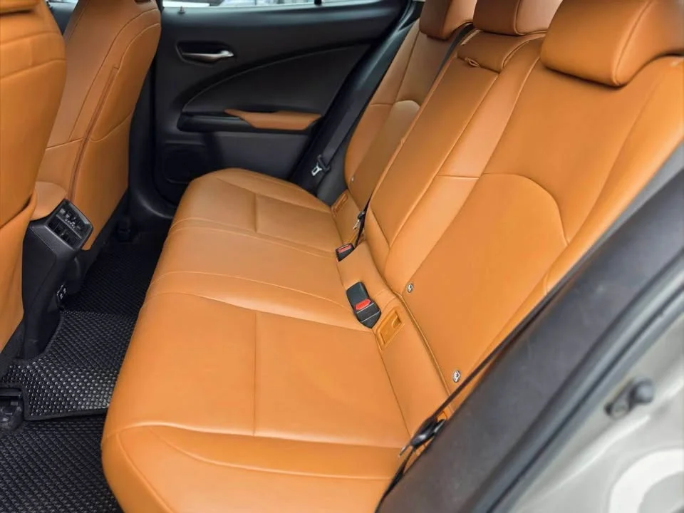 2019 Lexus UX ZA10 3