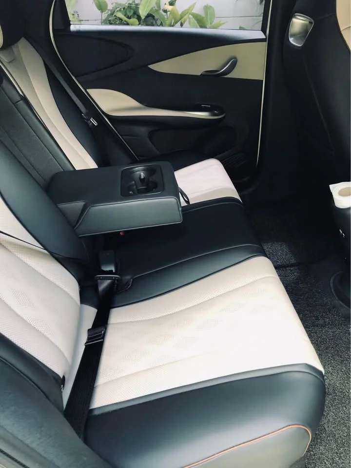 2023 BYD Dolphin 3