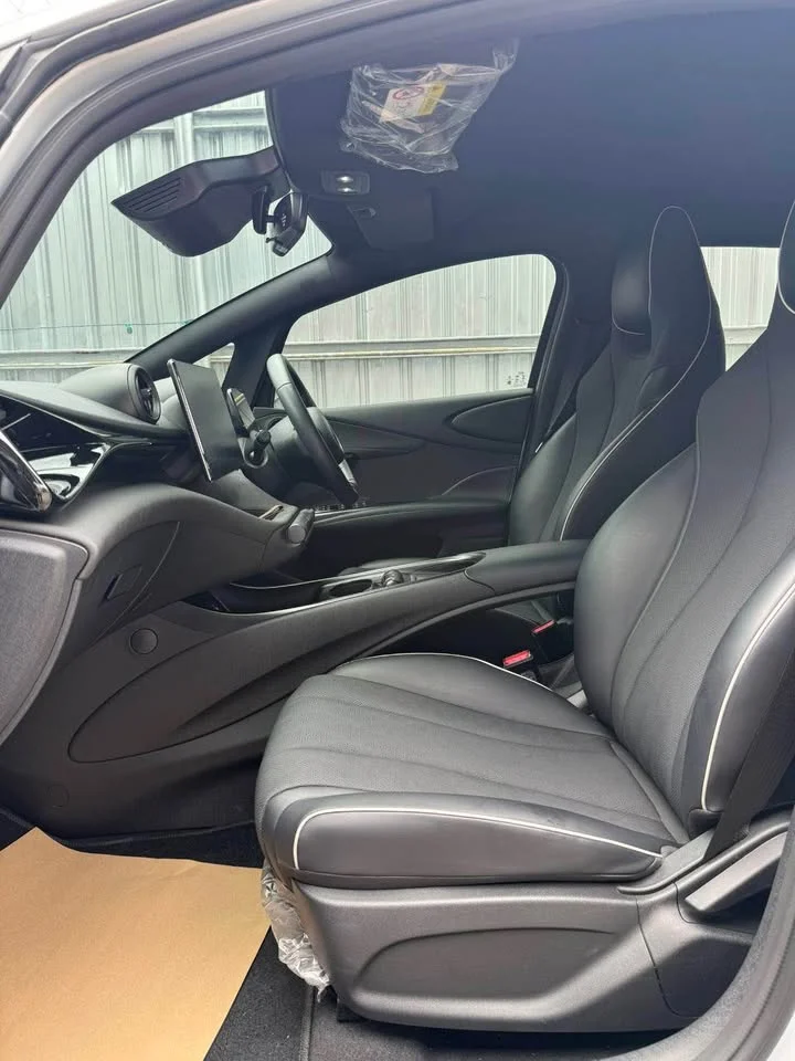 2025 BYD Dolphin 2