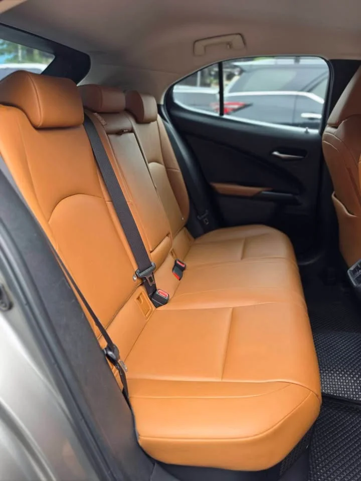 2019 Lexus UX ZA10 3