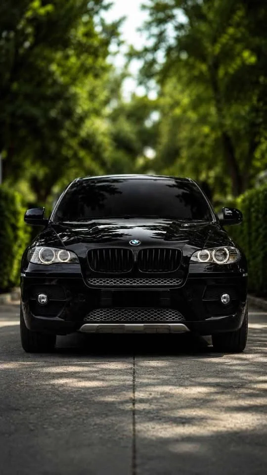 2012 BMW X6 E71, E72 3
