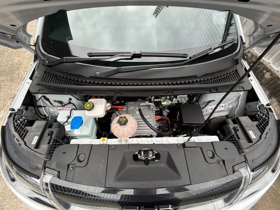 2025 BYD Dolphin 2
