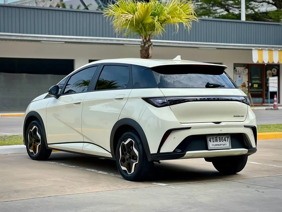 2023 BYD Dolphin 2