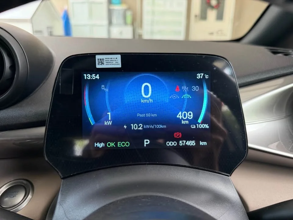 2023 BYD Dolphin 3