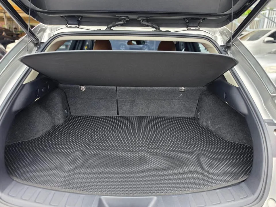 2019 Lexus UX ZA10 2