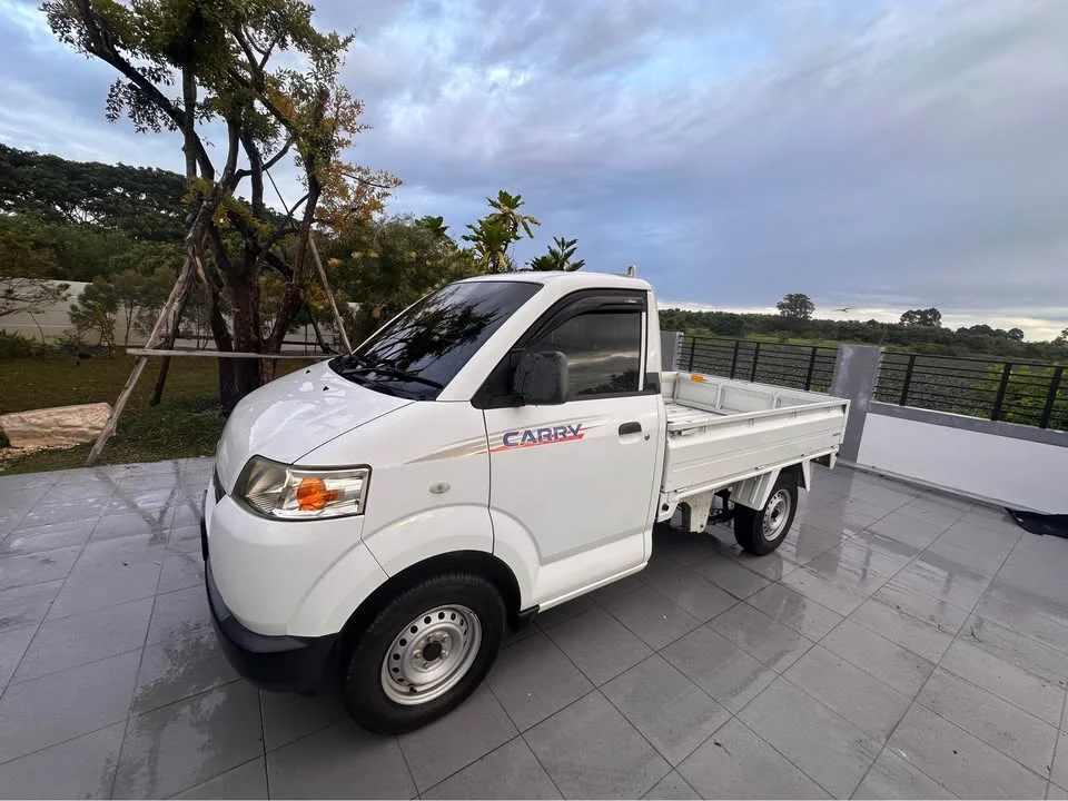 2017 Suzuki Carry I 3